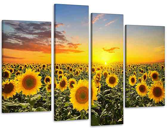 Модульная картина Подсолнухи Art-36_4 115x170 см Киев