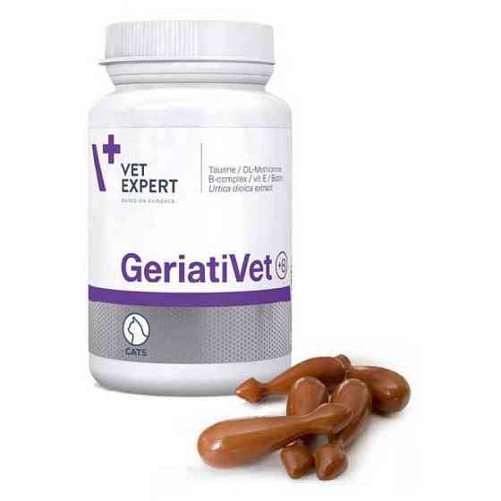 Vet Expert GeriatiVet Cat (ГериатиВет Кет) Комплекс витаминов и минералов для кошек зрелого возраста 60 табл. Винница