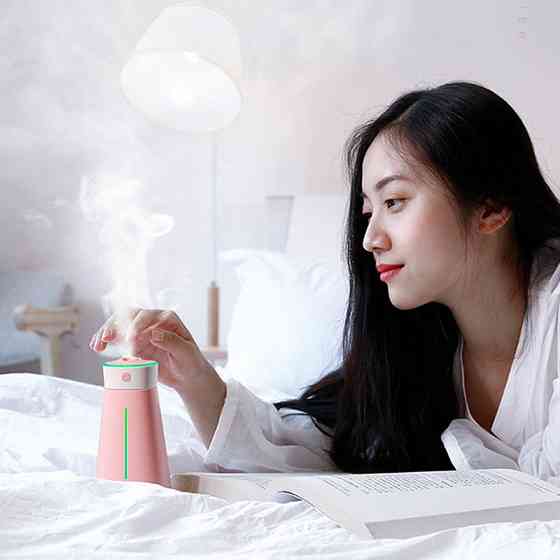 Зволожувач повітря Baseus Slim Wast Humidifier + USB Лампа/Вентілятор DHMY-B04 (Рожевий) Николаев