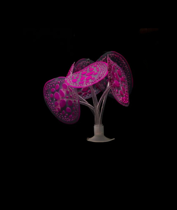 Декор в аквариум Грибы 10 см фиолетовый Киев - изображение 1