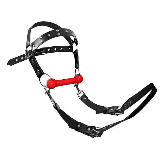 БДСМ кляп-упряжка Art of Sex - BDSM Gag Harness Pony Sex Aura Київ