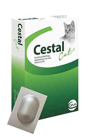 Цестал Кэт со вкусом печени (1 таблетка), Ceva Винница