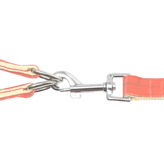 Шлея для собак с поводком Pipitao 165510 Cage Peach 1*120 cm Киев