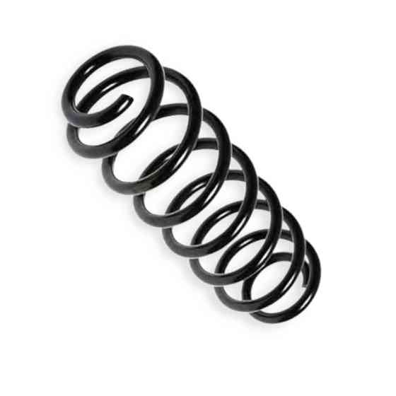 Пружина задня автомобіль Шкода Octavia II 1.2-1.8TSI, 1.6-2.0TDI 04-13 (накл.зад.ч) Мукачево