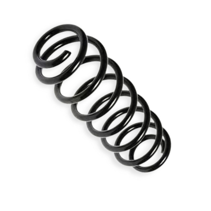 Пружина задня автомобіль Шкода Octavia II 1.2-1.8TSI, 1.6-2.0TDI 04-13 (накл.зад.ч) Мукачево - фото 1