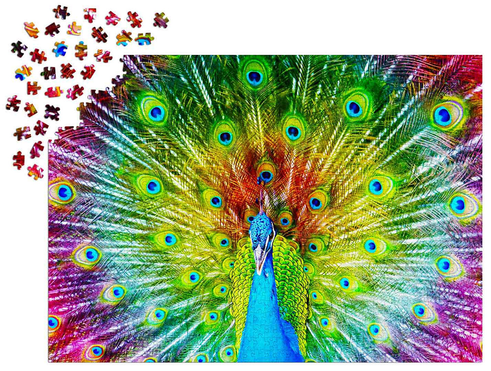 Пазл Різнобарвний павич - Colorful Peacock (Enjoy-1251) Киев - изображение 4