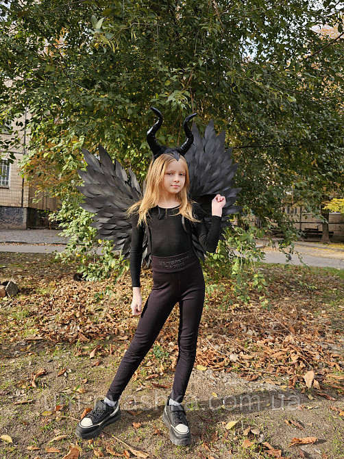 Чорні Крила великі Кривий Ріг - фото 10