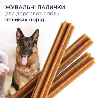 Лакомство для собак Club 4 Paws Premium дентал стикс для больших пород 117 г (4820215363235) Винница