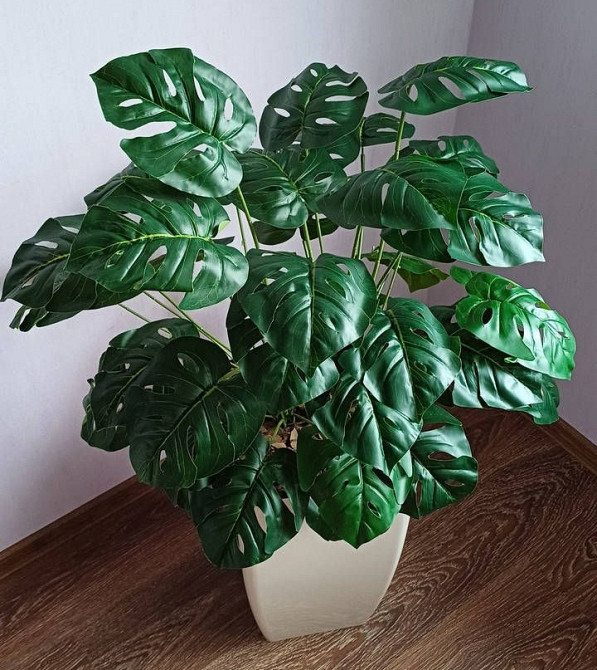 Штучний великий кущ монстери  із латексу Дніпро - фото 4