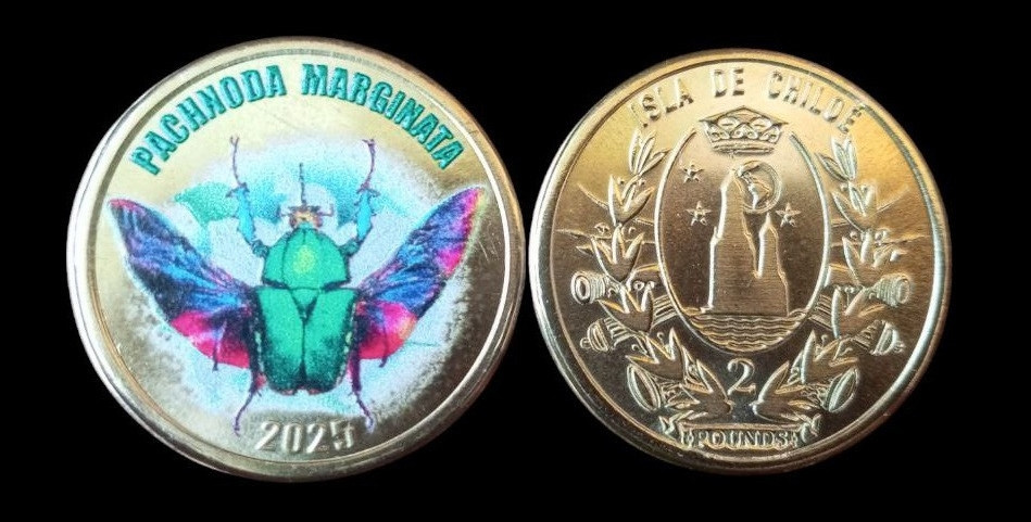 Острів де ЧІЛІ 2 фунта 2025 жук Полтава - изображение 1