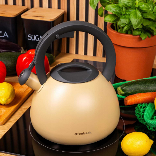 Чайник 2,7 л 100322 Ofenbach Житомир