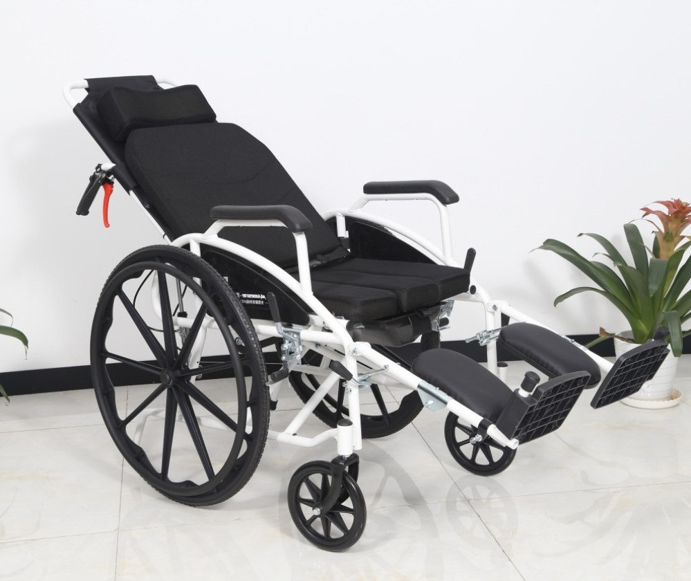 Кресло-коляска с санитарным оснащением SYIV100-RLD-G02 Днепр - изображение 2