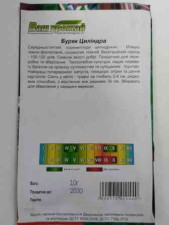 Свекла 