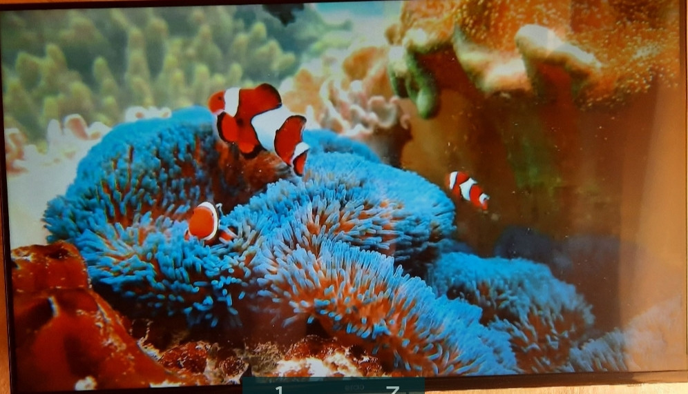 Телевизор: ERGO 43