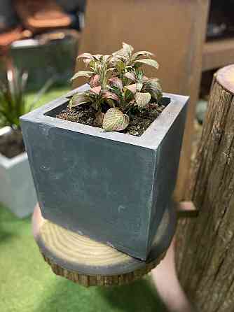 Вазон з бетону для рослин, темний (28*28*28) Код: 008746 Рівне