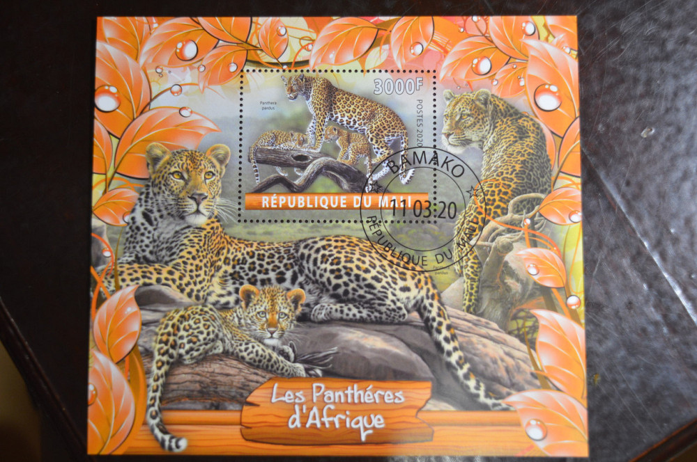 Малі. Марки. Фауна. Блок. 2020 рік (В-1) Полтава - фото 1
