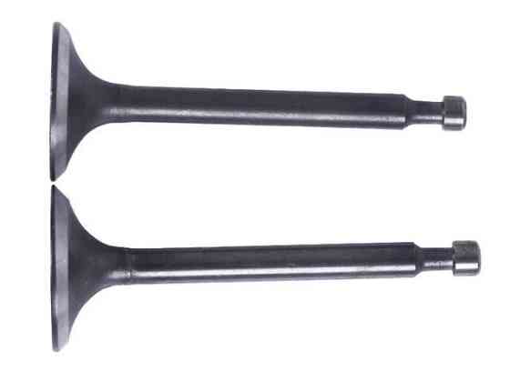 Клапани на бензиновий двигун мотоблок 168F, к-т: 2 шт. Мукачево