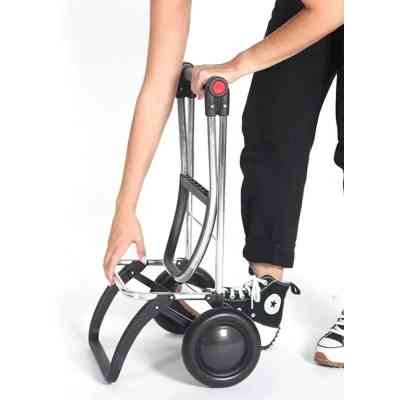 Сумка-візок Rolser Big Polar 2 Negro (BIG001-1023) (931439) Вінниця