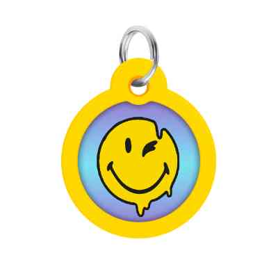 Адресник для тварин WAUDOG Smart ID з QR паспортом "Смайли на блакитному", коло 30 мм (230-0182) Вінниця