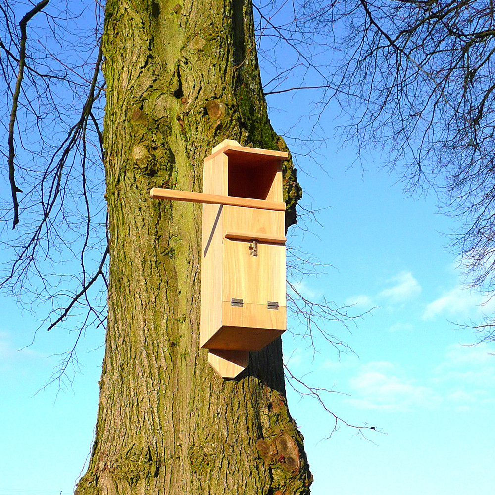 Будиночок для сови "Заура" бланже Миколаїв - фото 2