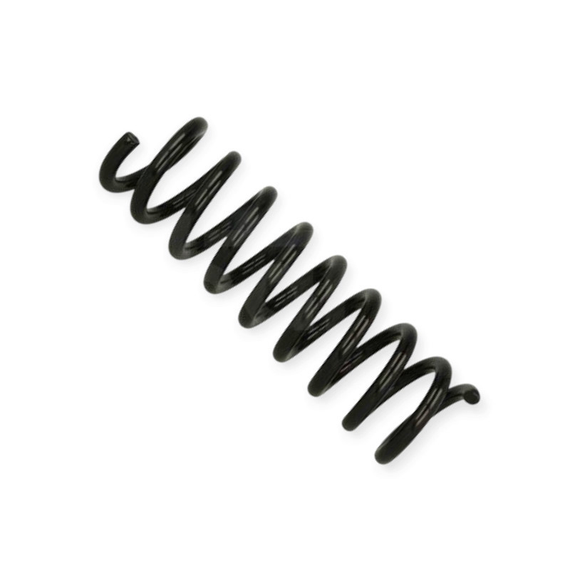 Пружина Mercedes-Benz C-class (W202) 96-задня Мукачево - фото 1