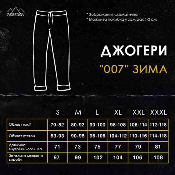 Чоловічі штани джогери з кишенями темно-сірі Pobedov 007 ЗИМА Київ