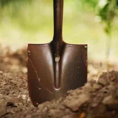 Лопата Werk штикова WS-003 (126153) Вінниця