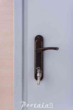 Двери технические, ЕИ30, серая шагрень,на трубе, 850 Киев