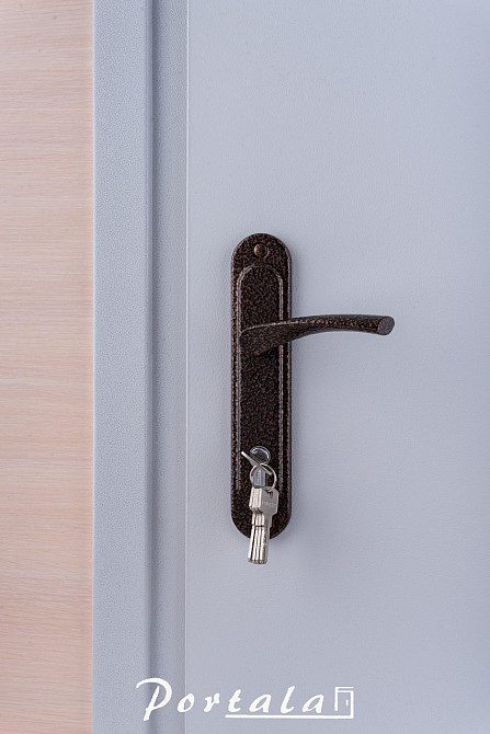 Двері технічні, ЕИ30, сіра шагрень,на трубі, 850 Київ - фото 2