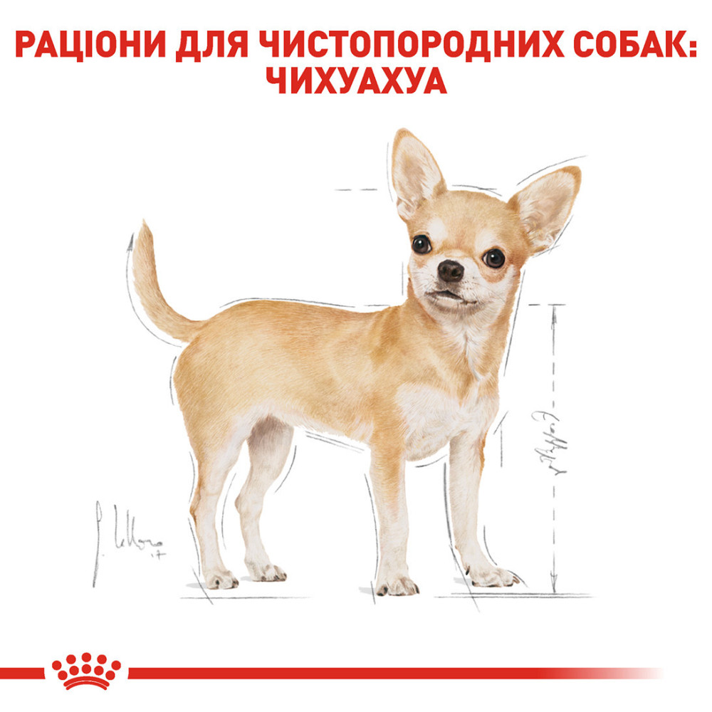 Вологий корм для дорослих собак ROYAL CANIN CHIHUAHUA ADULT 0.085 кг Київ - фото 3