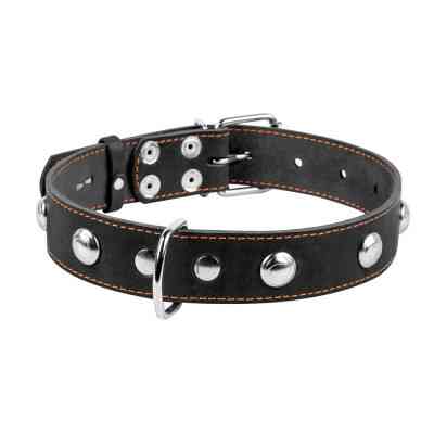 Ошейник для животных Collar одинарный с украшениями Ш 35 мм Д 48-63 см черный (02711) Винница
