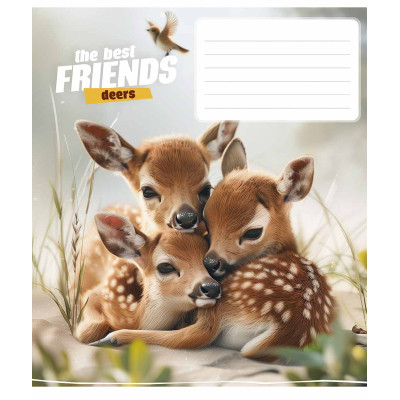 Зошит Школярик The best friends 12 аркушів клітинка (012-3434K) Вінниця - фото 4