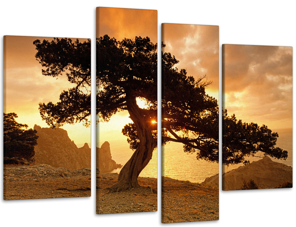 Модульна картина Захід Дерево Art-63_4 Київ - фото 1