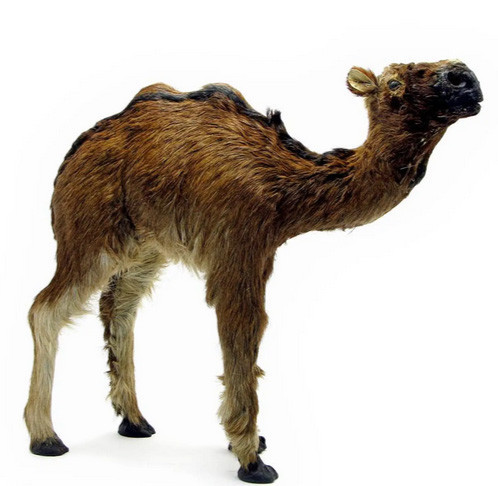 Статуетка з хутра та шкіри Верблюд Київ - фото 1