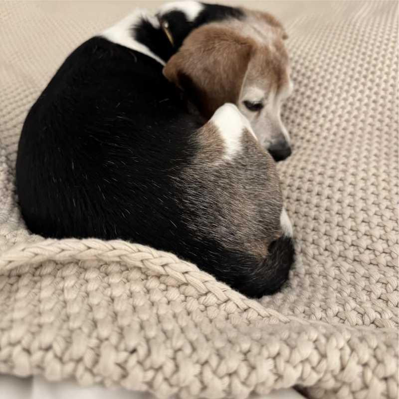 Плед - Покривало Lovely Svi В'язані 150 x 200 см - Всі Сезони Бежевий (111025) Київ - фото 4