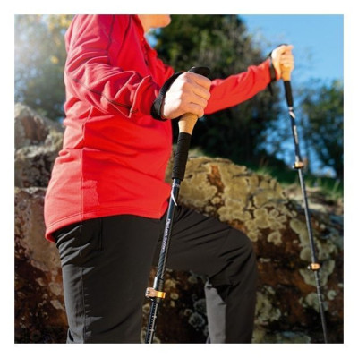 Треккинговые палки Schwarzwolf Denali чорний (F4800400AJ3) Винница - изображение 5