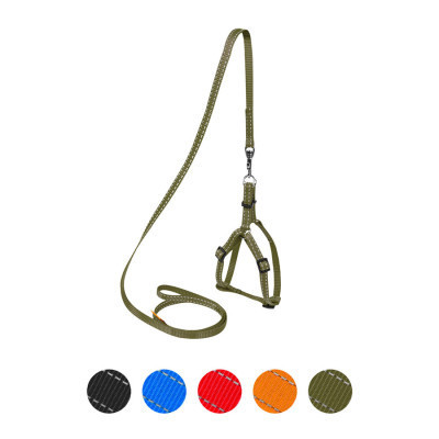 Шлей для собак Dog Extreme из нейлона регулируемая с поводком Ш 14 мм Д 115 см хаки (070331) Винница - изображение 1