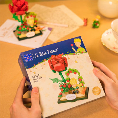 Конструктор Pantasy Le Petit Prince -Звездный путь-Pоза (86317) Винница - изображение 3