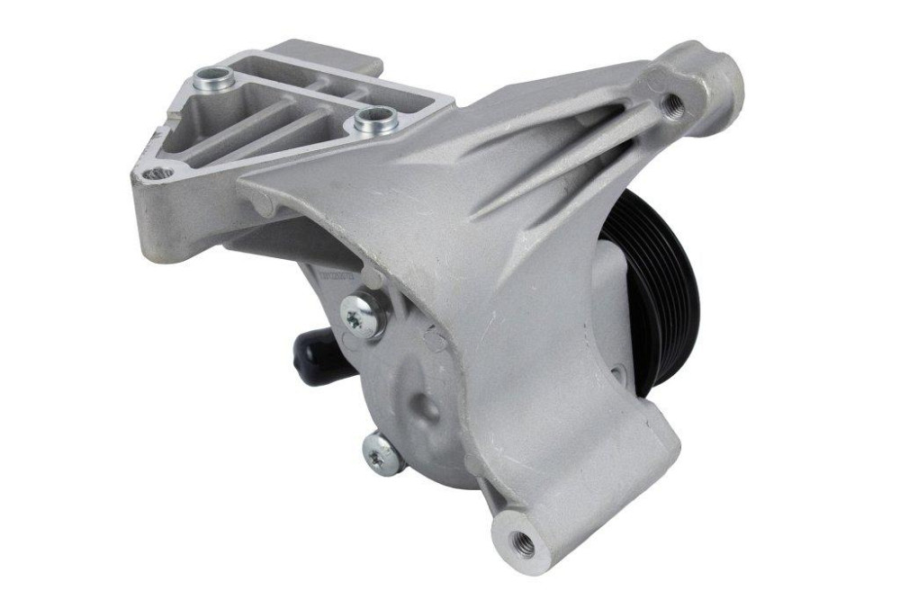 Насос ГПК (96mm; 7PK) Raiso (Швеція) Fiat Ducato Multijet, Фіат Дукато 02 - #RG0120 UAUVRRV22 Ковель - фото 5