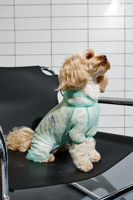 Одежда от клещей для собак комбинезон сетчатый костюм Dogs Bomba унисекс цельный мятный Одесса - изображение 7