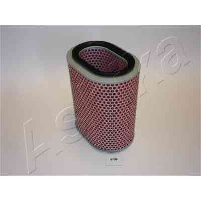 Повітряний фільтр для автомобіля ASHIKA 20-05-513 Вінниця