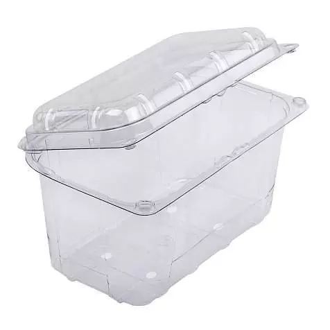 Харчові лотки 1 кг поліпропіленові з кришкою 193×117×111 мм (50 шт) тара для ягід Харків