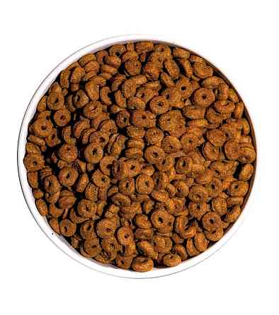 Сухой корм Овнат Ownat Classic Daily Care (Cat) для взрослых кошек с курицей 4 кг Винница