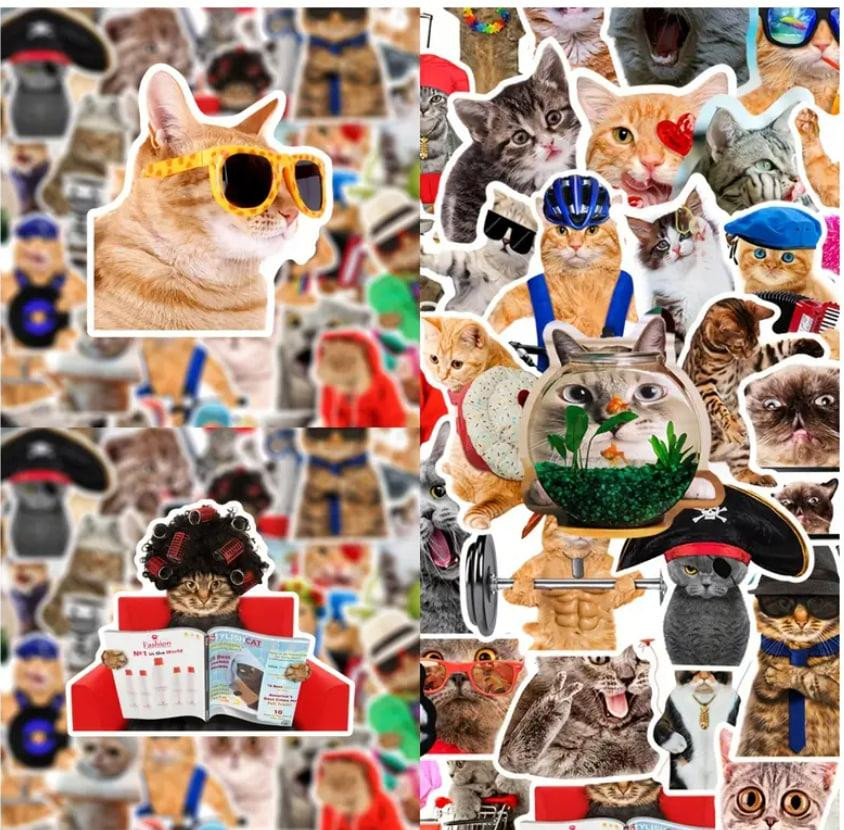 Наклейки Стікери Коти - Водонепроникні Вінілові Естетичні Наклейки з Котами для Пляшки Води, Комп'ют Київ - фото 1