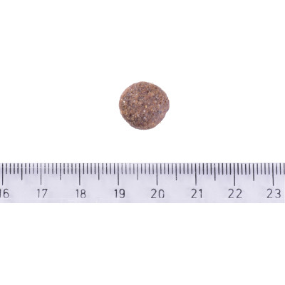 Сухий корм для собак Brit Care Dog Grain-free Adult для малих і середніх порід з лососем 1 кг (8595602558858) Вінниця - фото 4