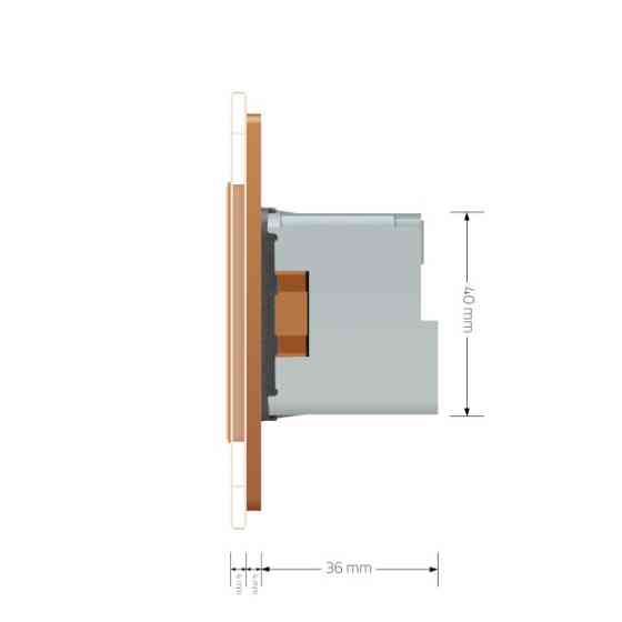 Розумна розетка ZigBee з заземленням Livolo золото (VL-FCTC16AZ-2BP) Коломыя