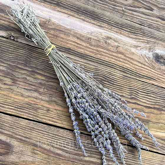 Веточки лавандина для флористики декора и творчества 30-40 см 50шт. Ирпень