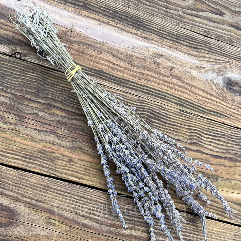 Веточки лавандина для флористики декора и творчества 30-40 см 50шт. Ирпень - изображение 1