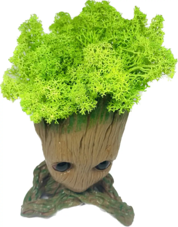 Кашпо горшочек со стабилизированным мхом Грут Groot G3 Винница