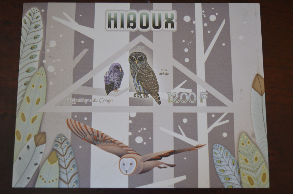 Конго. Фауна. Личности. Блок. 2014 р. (А-34) Полтава - фото 1